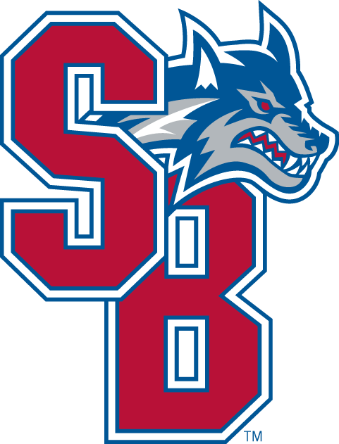 Stony Brook Seawolves 2008-Pres Secondary Logo diy DTF decal sticker